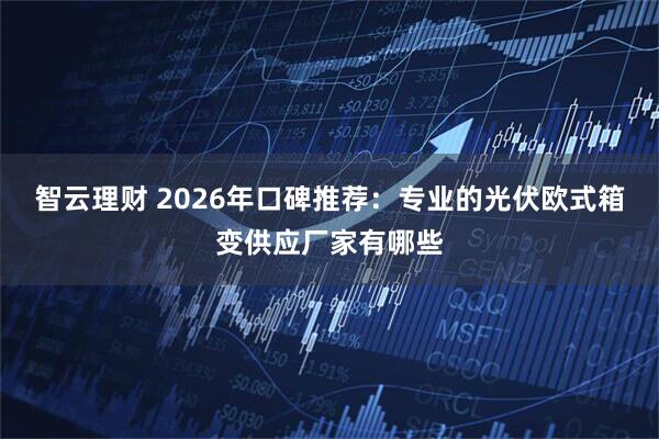 智云理财 2026年口碑推荐：专业的光伏欧式箱变供应厂家有哪些