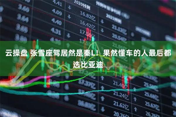 云操盘 张雪座驾居然是秦L！果然懂车的人最后都选比亚迪