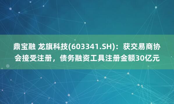 鼎宝融 龙旗科技(603341.SH)：获交易商协会接受注册，债务融资工具注册金额30亿元